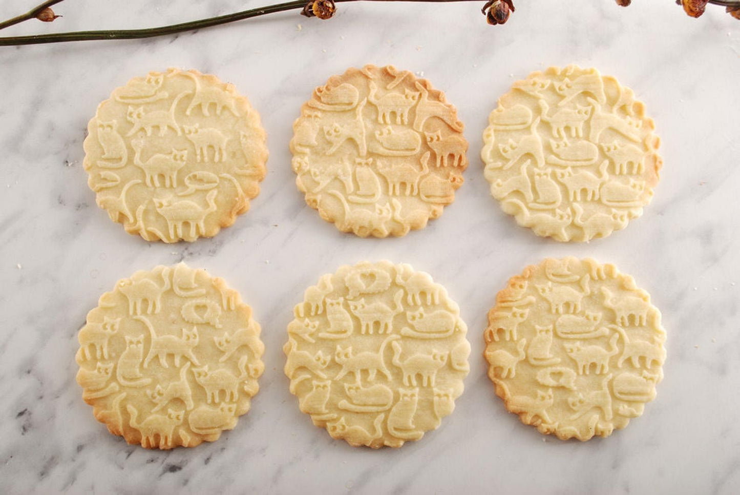 Cat Actions - Embossing Rolling Pin CustomizedGift