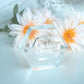 Personalized Acrylic Ring Box WeddingClub